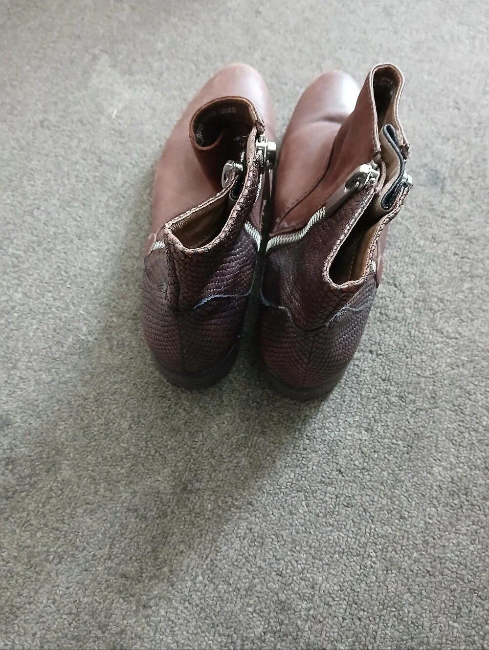 Earthies Dark Sintra 2 Brown Wonen's Leather Zipper Ankle Boots Size 11 B.